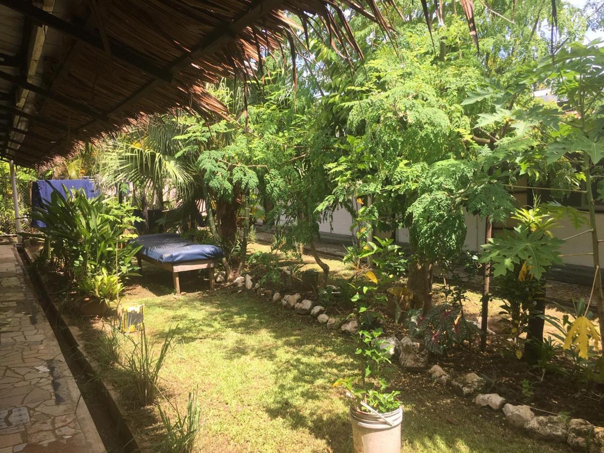Olivias Accommodation Απία Εξωτερικό φωτογραφία